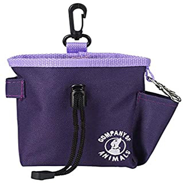 A TCOA D CLIX TRT BG PRPL with a handle.